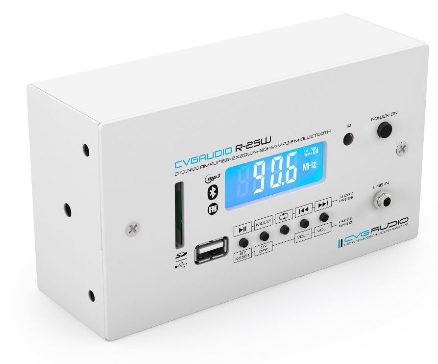 Усилитель CVGaudio R-25W
