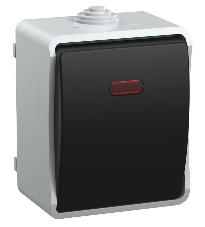 Выключатель EVS11-K03-10-54-DC ∙ FORS Выкл. 1-кл. прох. с инд. о/у IP54 ВС20-1-1-ФСр сер. IEK