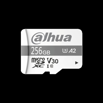 Карта памяти DHI-TF-P100/256G