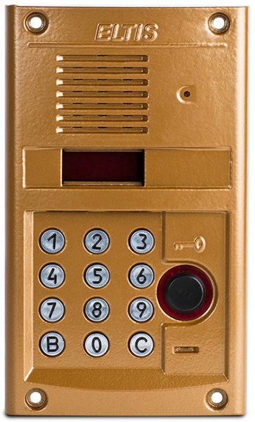 Вызывная видеопанель DP300-RDC24 (1036)