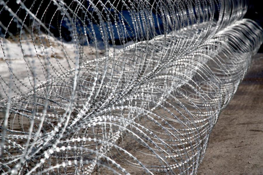 Армированная колючая лента АКЛ-955C ДАБР.425729.006
