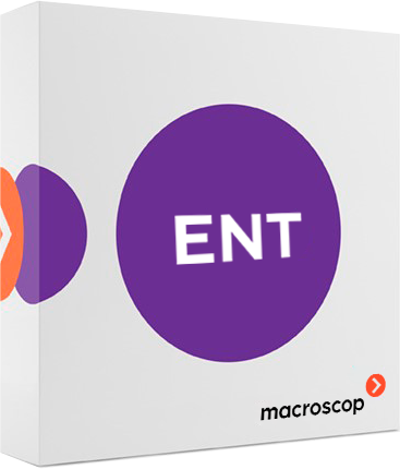 Лицензия ПО MACROSCOP Enterprise (МС-РО-00254)