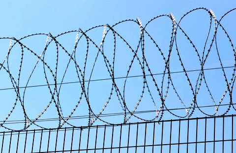 СББ Егоза Ф 980мм, 5 витков (бухта 10м) склепанный в 3-х равноудаленных точках