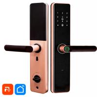 Дверной замок WIFI PS-Link PS-K2 розовое золото, биометрический, отпечаток пальца, временный пароль, ключ, карта