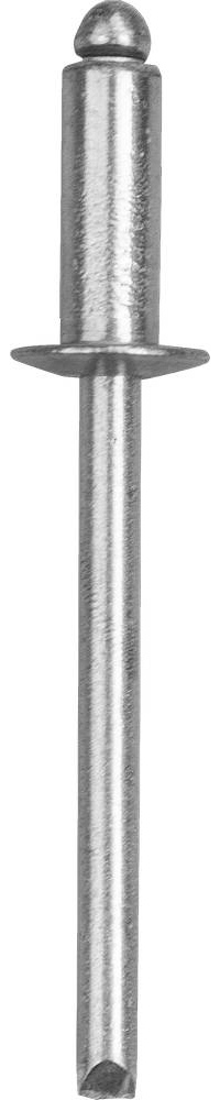 12-5351 ∙ Заклепки REXANT, 4,0x6 мм, 50 шт.