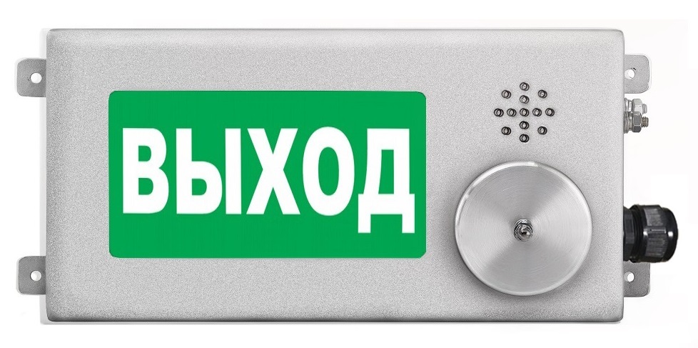 Оповещатель охранно-пожарный (табло) ТСВ-Exm-Н-Прометей-МИНИ 220В