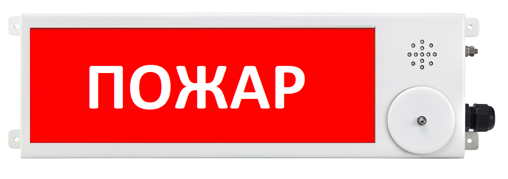 Оповещатель охранно-пожарный (табло) ТСЗВ-Exi-М-Прометей 12-36В "Пожар"