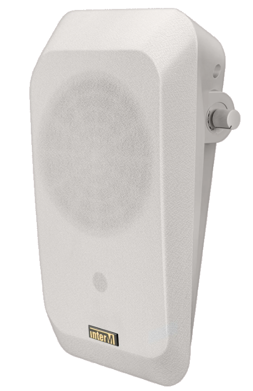 Оповещатель речевой IWS-03A(I)